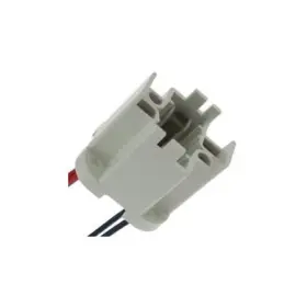 285-QX-28 ILB GOLD Eg Socket Light Bulb Lamp