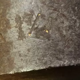 07525 PROTO Gently Drive Impact Socket #2
