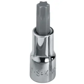 42925 SK PROFESSIONAL TOOLS Socket Bit Steel Tpsz