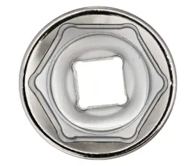 31328 WILLIAMS Drive Socket