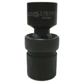 37819 WILLIAMS Drive Socket