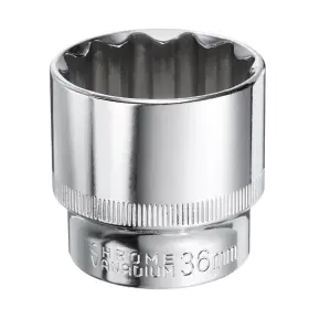 781954210157 ZAPLYTE Socket Drive Shallow Steel Chromed