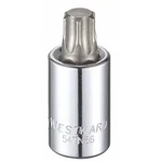 Westward 54tn56 1/2 In Drive Torx(r) Socket Bit Sae T60 Tip, 2 L. Fixed Price $13.19.