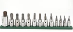 Duralast Torx Bit Socket Set 13 Piece T8 T60 - 1/4", 3/8", 1/2" Drive. Fixed Price $21.99.