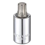 Westward 54tn56 Socket Bit, Steel, 1/2 In, Tpsz T60. Fixed Price $16.30.