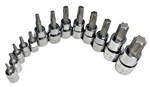 Craftsman Torx Sockets(pick A Size). Fixed Price $17.00.