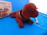 6 Or 12 Volt 1960's Deville Bobble Head Stop Light Dog Rare In Box Some Fur Loss. Fixed Price $129.00.