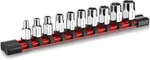 Workpro 10pc 1/4" Drive Hex Socket Set Sae Standard & Shallow W/organizer. Fixed Price $15.99.