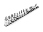 Tekton 1/4, 3/8, 1/2 Inch Torx Bit Socket Set With Rail, 18 Pieces (t6-t80). Fixed Price $75.00.