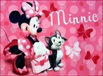Gertmenian Disney Licensed Indoor Kids Area Rug - 5x7 Standard, Nonslip, Idea.... Fixed Price $136.69.